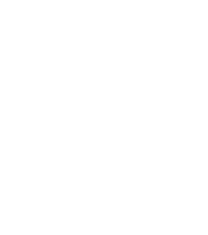 GTS badge - white